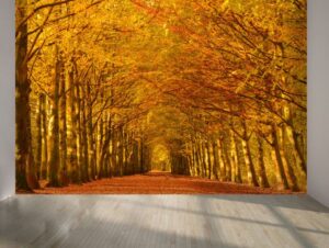 טפט חגיגת עלי שלכת