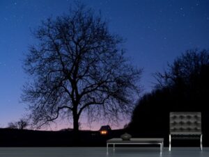 טפט לקיר לילה מסתורי