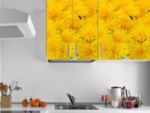 מדבקות לארונות | פרחי בר