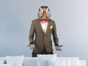 תוכי ים חמוד