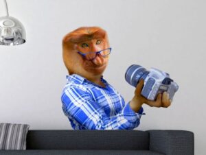 מדבקת קיר | קופה צלמת