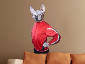 מדבקת חתול ספינקס