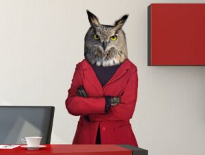 מדבקת קיר | ינשופית קשוחה