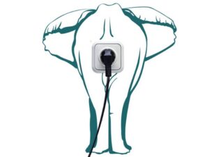 מדבקה למתג | פיל מחשמל