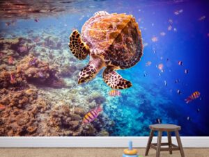 טפט צב ים חמוד