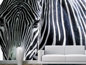 טפט זברה אופנתית