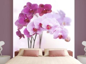 טפט פרחים בגווני ורוד