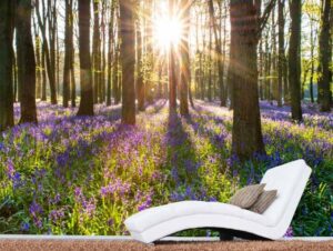 טפט מדבקה | אביב ביער