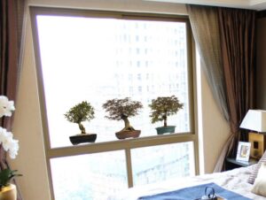 מדבקת חלון | עציצים דקורטיבים