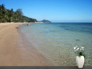 טפט חוף ים צלול