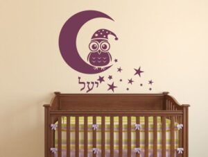 מדבקת ינשוף חכם בלילה