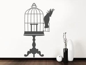 כלוב ותוכי קקדו