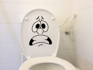 מדבקה למכסה האסלה | פרצוף לחוץ