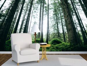 מדבקת טפט | יער ירוק