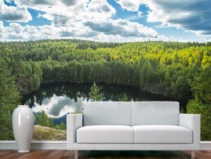 טפט | אגם ביער