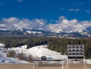 מדבקת טפט | יער חורפי