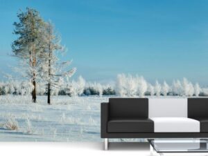 טפט | אמצע החורף