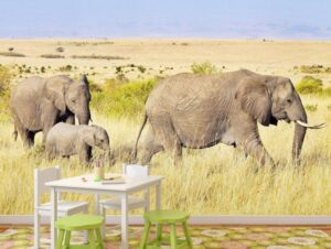 מדבקת טפט | משפחת פילים