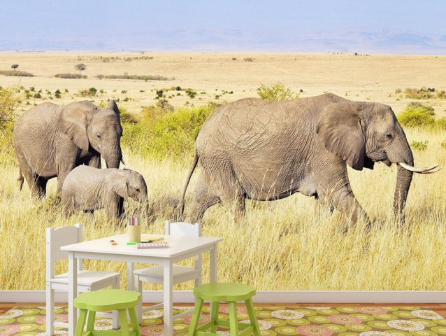 מדבקת טפט | משפחת פילים