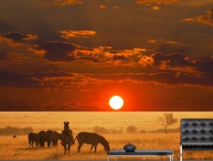 טפט זברות על רקע שקיעה