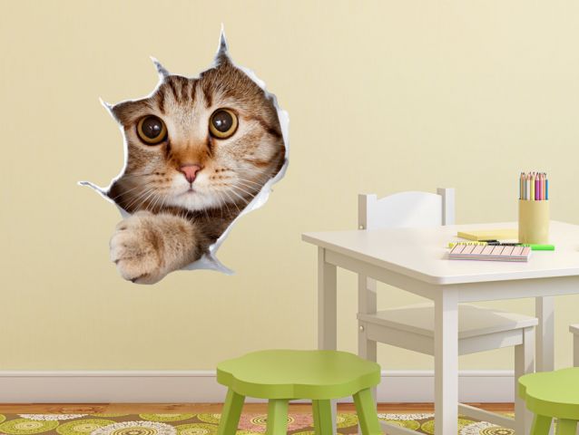 מדבקת קיר | חתול סקרן