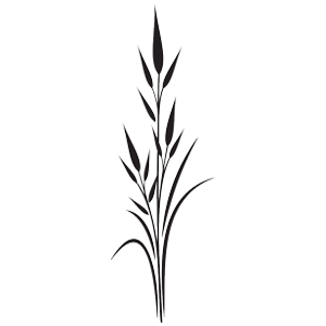 מדבקת גבעול בסגנון יפני