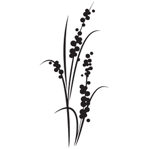 מדבקת קיר | פירות היער