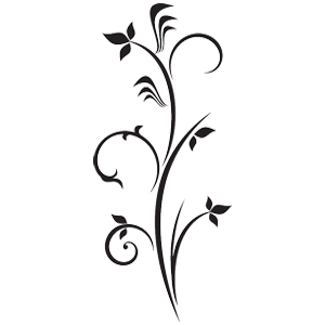 גבעול מתפתל