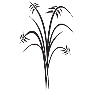 מדבקת גבעולים חדים