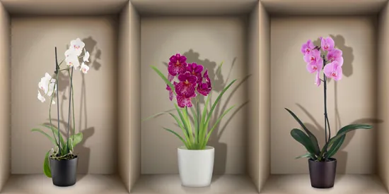 מדבקת נישת חלון עם זברות בשקיעה