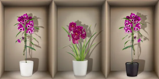 מדבקת נישת חלון עם זברות בשקיעה