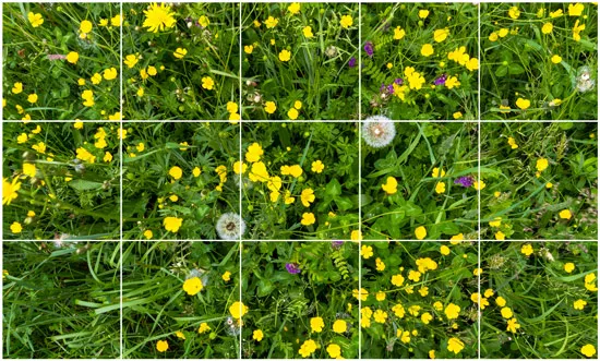 אריחים לרצפה | שטיח וינטג'