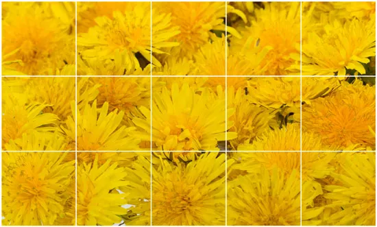 אריחים לרצפה | שטיח וינטג'