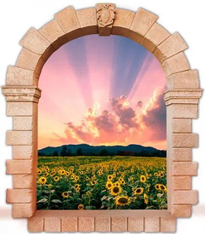 מדבקת חלון עתיק לשדה חמניות