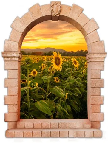 אשליית שער עתיק לשדה חמניות