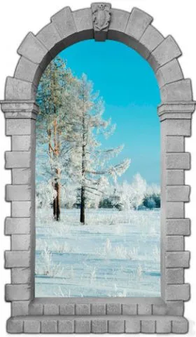 מדבקת שער 3D | שדה קפוא