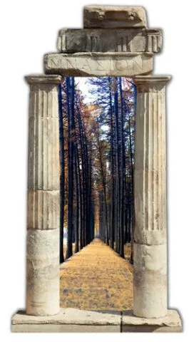 מדבקת שער 3D | שביל בפארק