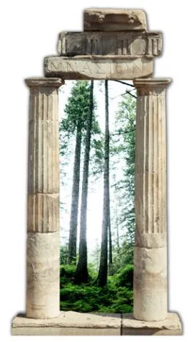 מדבקת שער 3D | יער ענקים