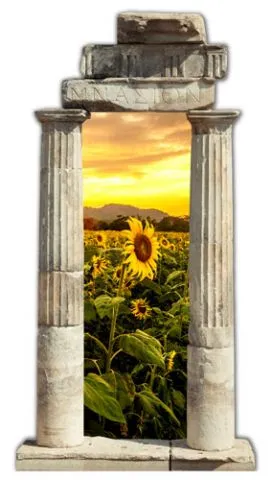 מדבקת שער 3D | שדה חמניות