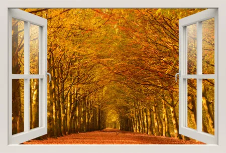 מדבקת חלון 3D | פארק סתווי