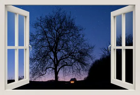 מדבקת חלון ללילה קסום