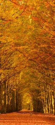 טפט לדלת ברכת הבית גווני כחול