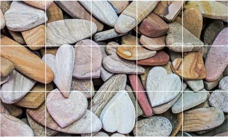 מסלול רצפה - מסלול רצפה אתגרי מוטורי פרחים וצבעים