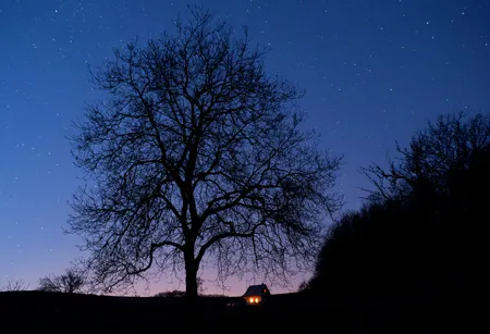 טפט - גלים מעוצבים