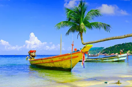 טפט - גלים מעוצבים