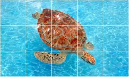 מדבקות לאריחים | בעיצוב קיסרי