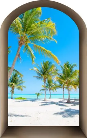 מדבקות נישה | עתיקות