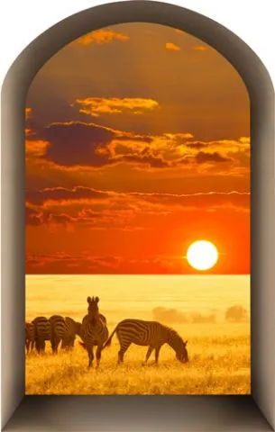 מדבקת נישת חלון עם זברות בשקיעה