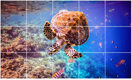 מדבקות לאריחים | בעיצוב קיסרי