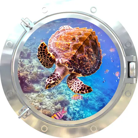 מדבקת קיר | צב בחלון